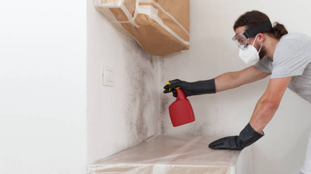 Professional Bathroom Mold Removal technician working in Holtwood, PA